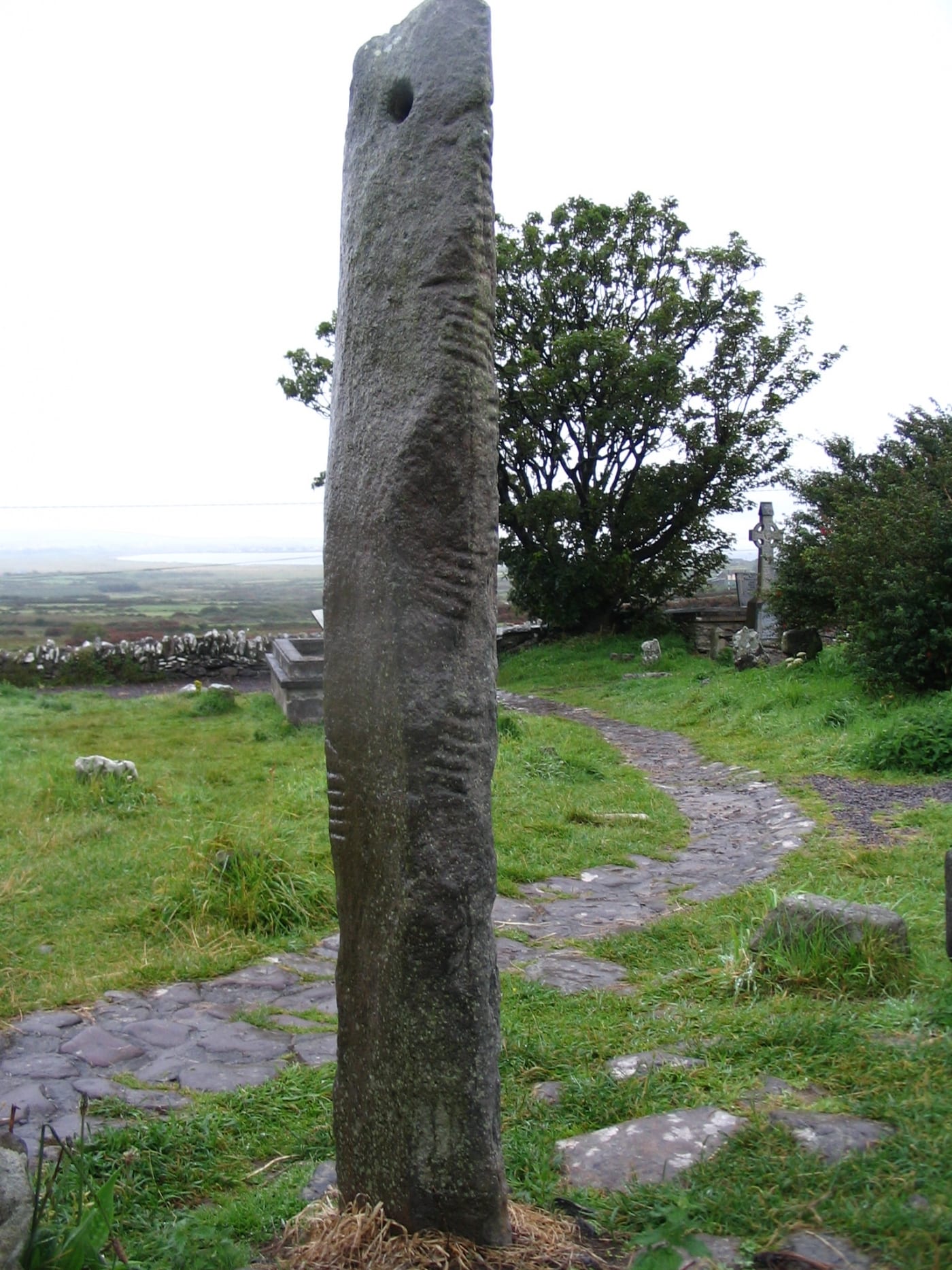 The Secret of Ogham Irelands Most Ancient Language Explore Blarney Blog