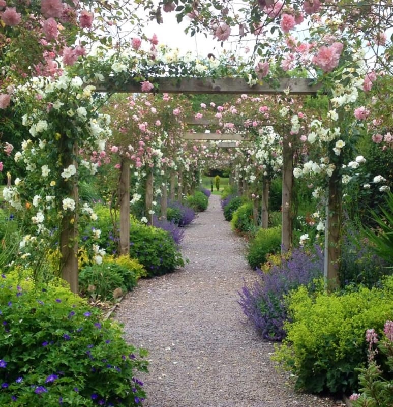 The Blarney Castle Gardens