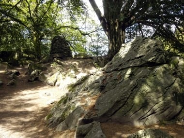 Blarney Castle Gardens