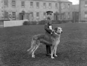 Irish Guards' Band Drummer Boy, pictured at Waterford Barracks with the regiment's mascot, an Irish Wolfhound. Image Source: National Library of Ireland on The Commons, Flickr