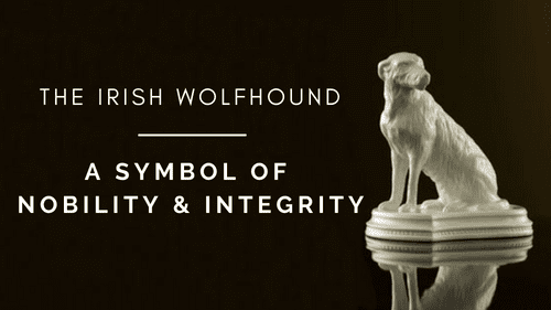 The Irish Wolfhound: A History | Explore Blarney Blog