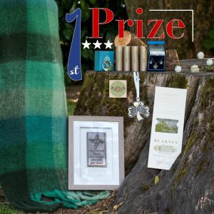 1st Prize bundle including green wool scarf, Irish jewelry, crystal ornament, gift card, and framed blessing plaque on mossy tree stump
