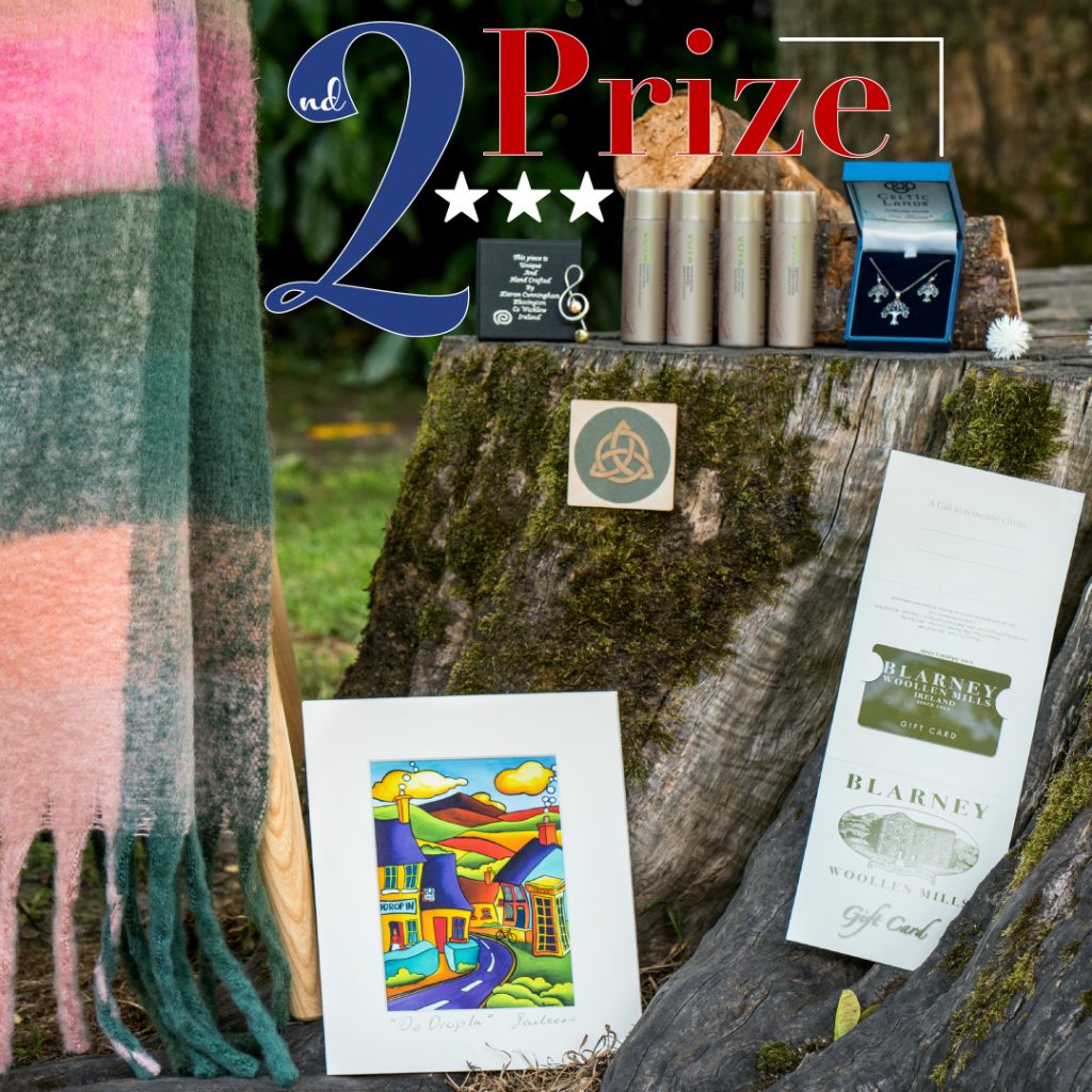 2nd Prize bundle with pastel wool scarf, art print, Irish-themed gifts, and jewelry on tree stump